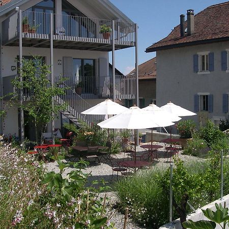 Le Coq Chantant Studios D'Hotes & Boutique Hotel St-Livres Saint-Livres Eksteriør bilde