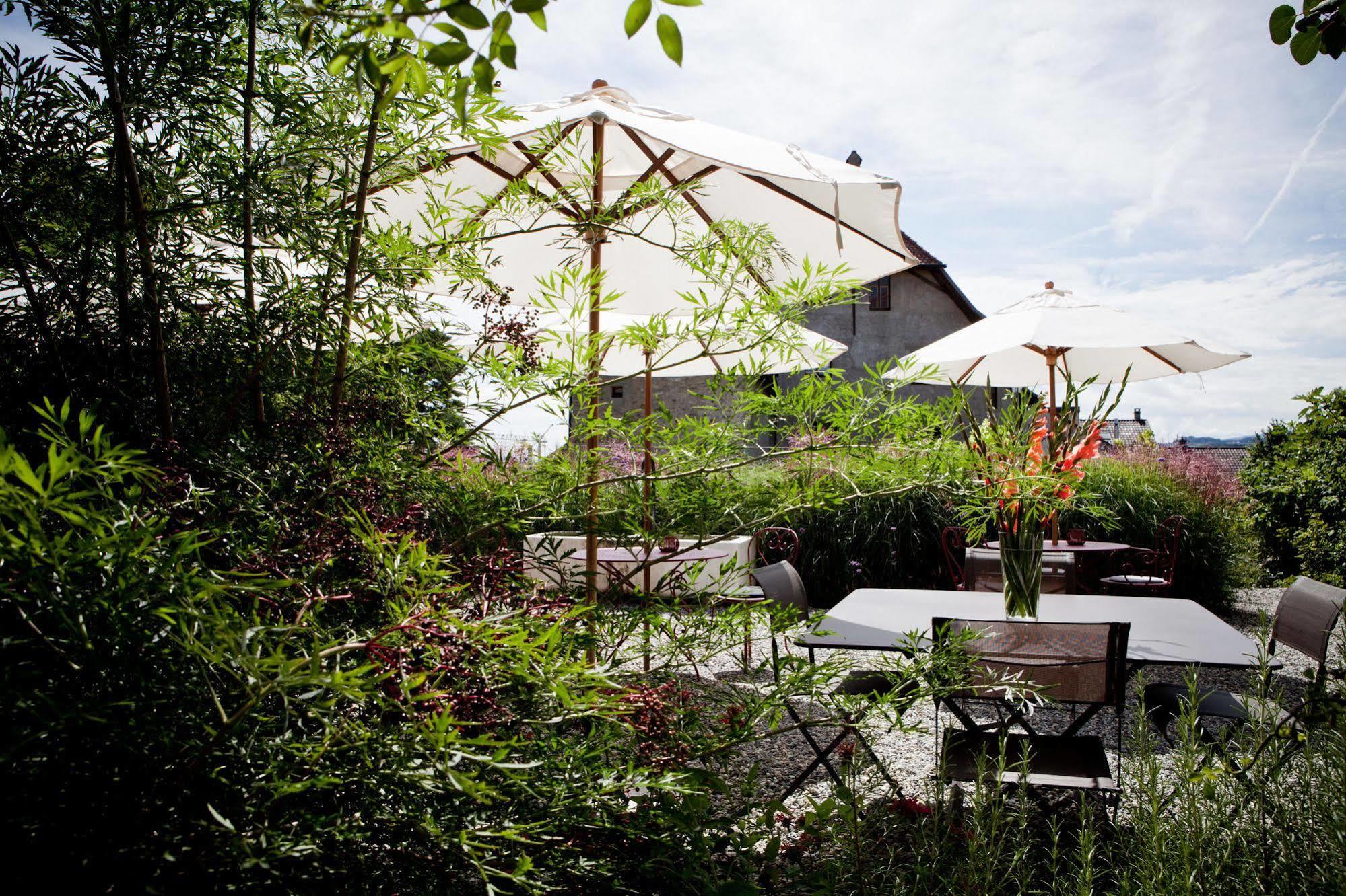Le Coq Chantant Studios D'Hotes & Boutique Hotel St-Livres Saint-Livres Eksteriør bilde